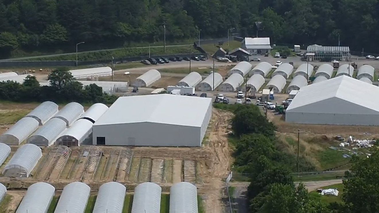 Cherokee Tribal Council plans recreational cannabis work session before dispensary opens – wlos.com