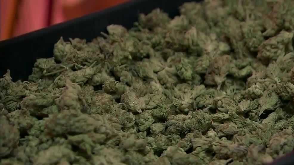 Florida Senate Committee approves bill that bans smoking marijuana in public – gulfcoastnewsnow.com