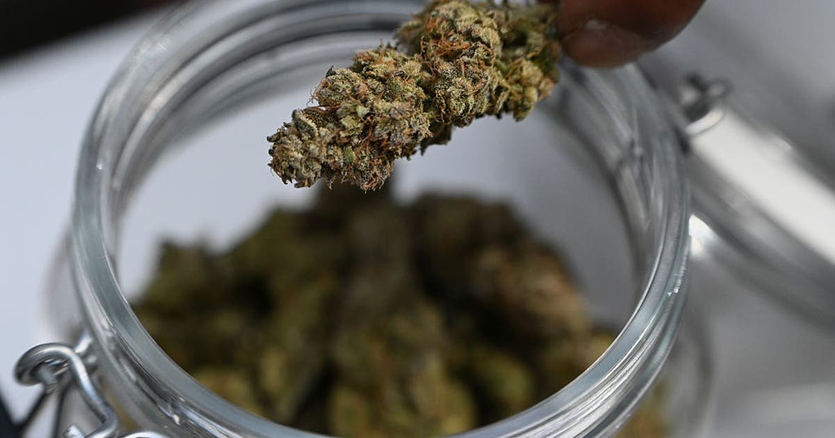 Nearly $1,400 worth of marijuana stolen from DC shop – fox5dc.com