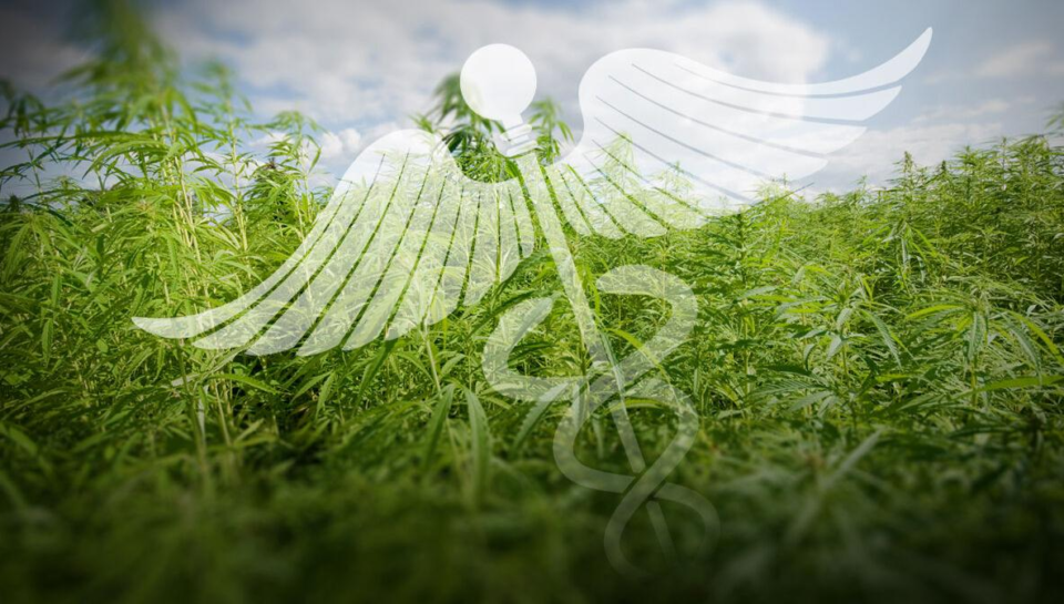 wp-header-logo-582.png