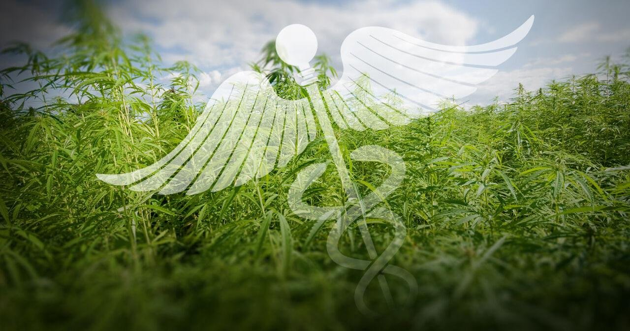 Kentucky opens new medical marijuana facilities as access remains limited for patients – wdrb.com