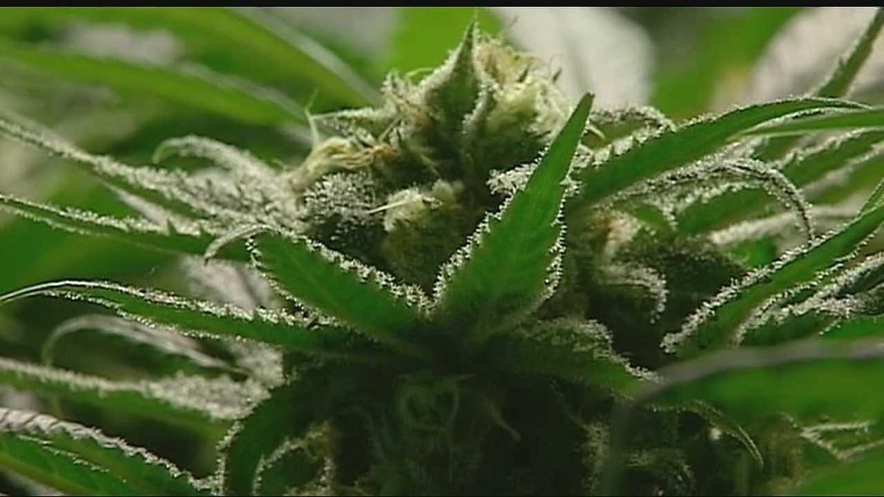 Missouri lawmaker introduces constitutional amendment that would dramatically rewrite state marijuana laws – kmbc.com