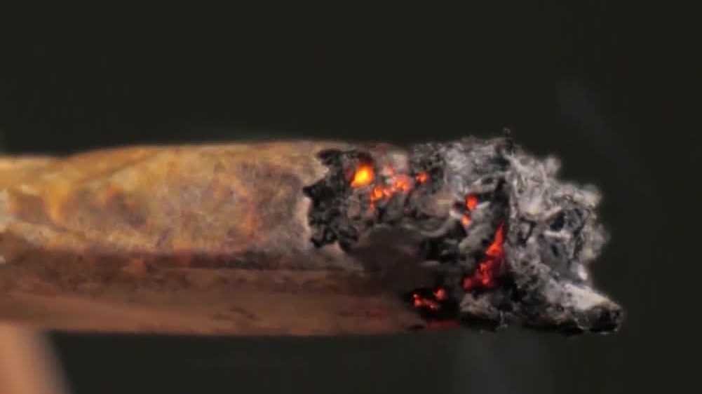 Florida lawmakers propose ban on public smoking and vaping – gulfcoastnewsnow.com