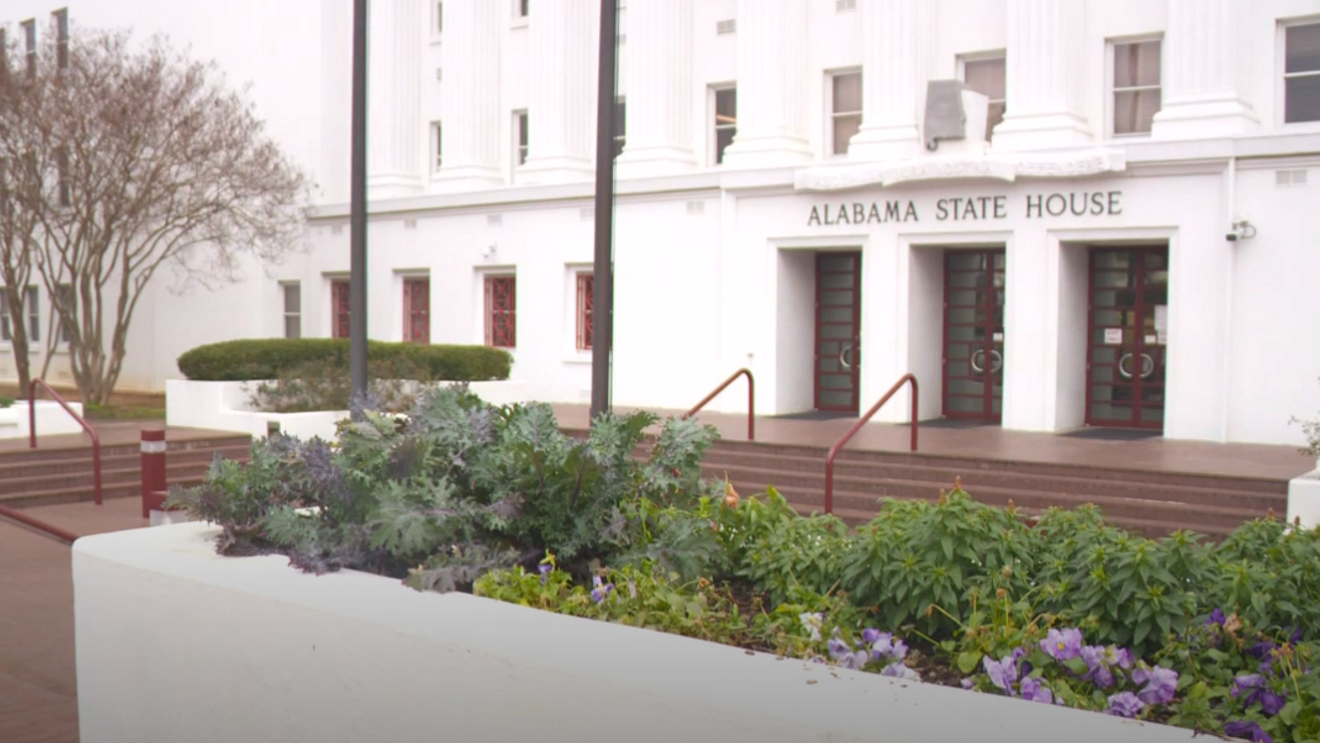 Alabama lawmakers advance bills on organ retention, marijuana use and driver license rules – abc3340.com