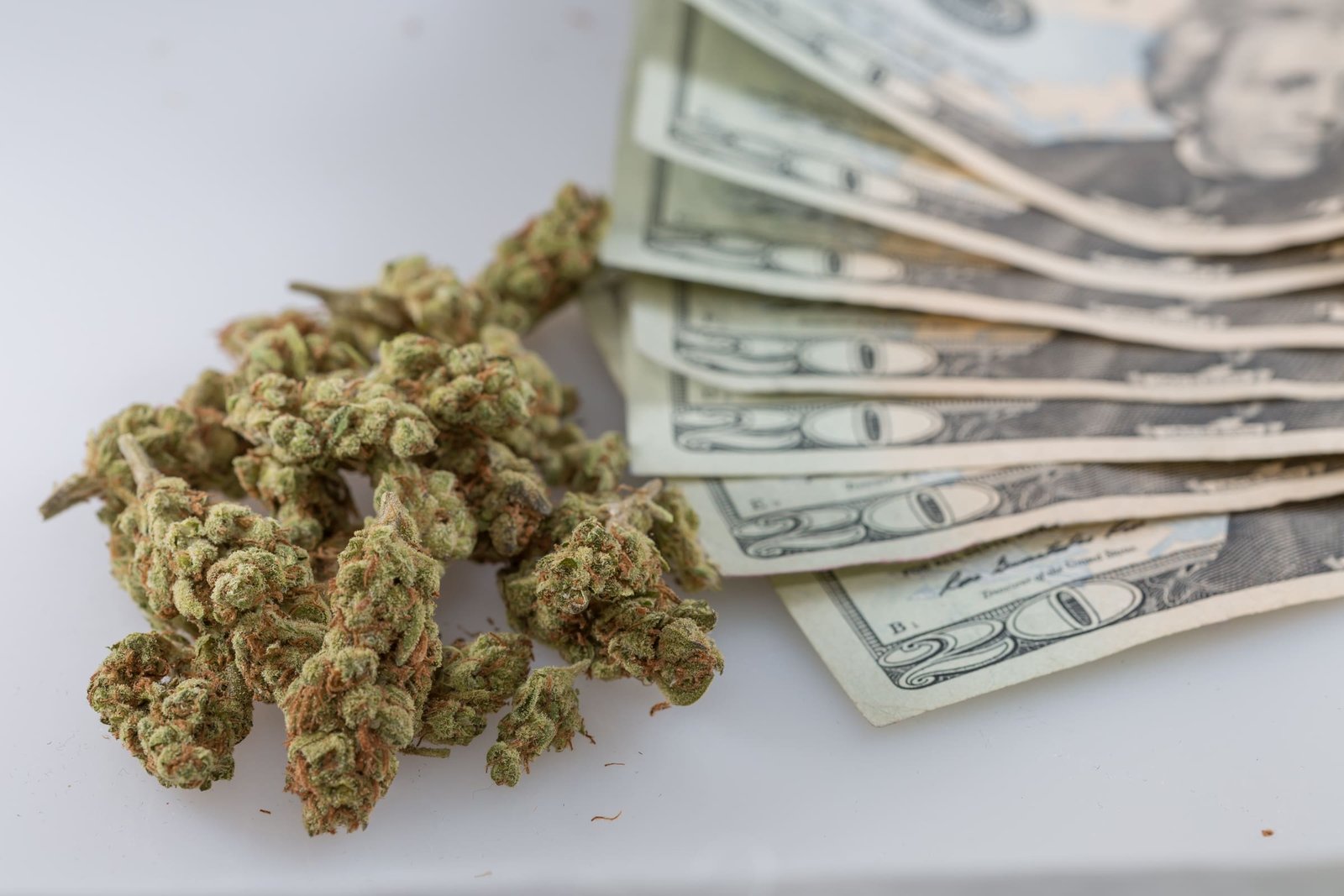 'Dark Money' Anti-Marijuana Group Is Bankrolling Ballot Measures To Roll Back Legalization In Multiple States, Records Show – Marijuana Moment