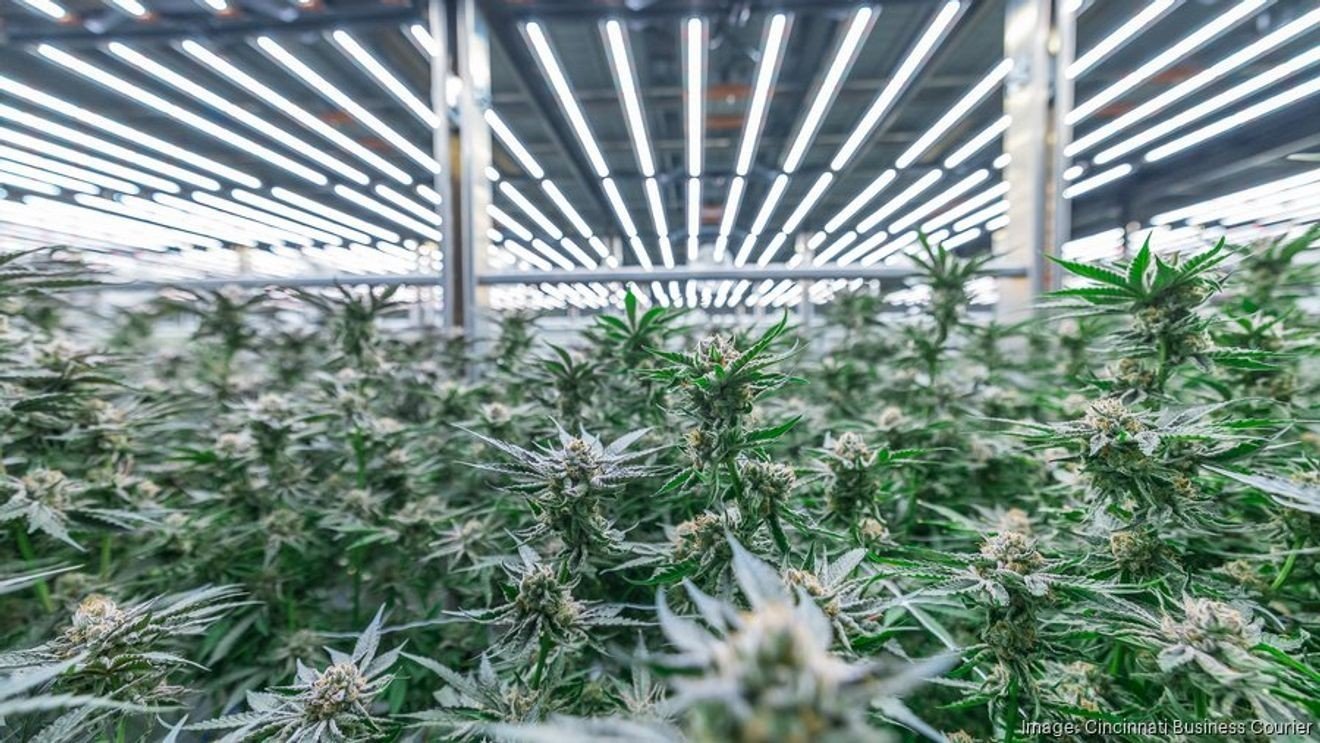 Marijuana dispensary opens in former Cincinnati restaurant space – local12.com