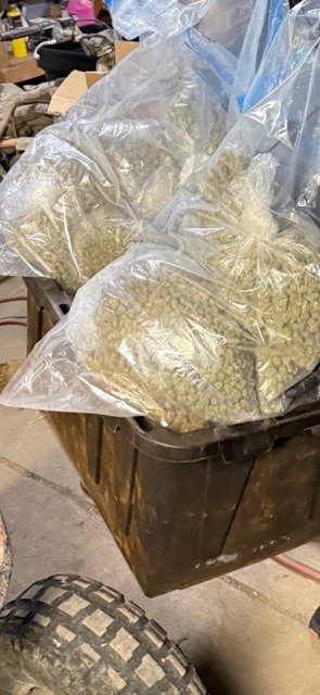 Terre Haute man charged with over $60,000 worth of marijuana – Yahoo