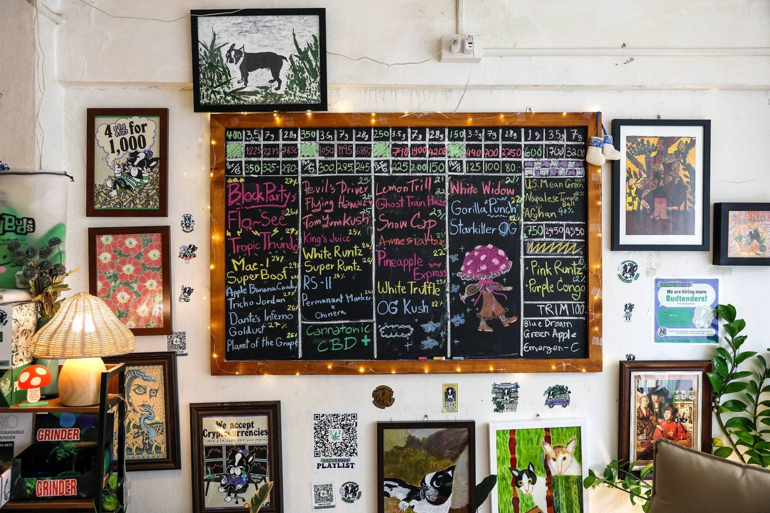 Weed backlash grows in Thailand as kids turn to cannabis – The Japan Times