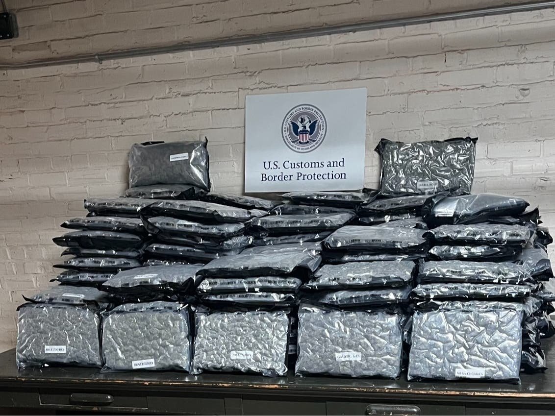 500 Pounds Of Marijuana Confiscated At Philly Port: Feds – Patch