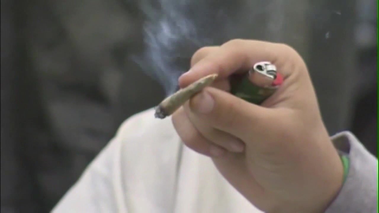 Florida’s pot proposal called ‘fatally flawed’ by state attorney general – FOX 13 Tampa Bay