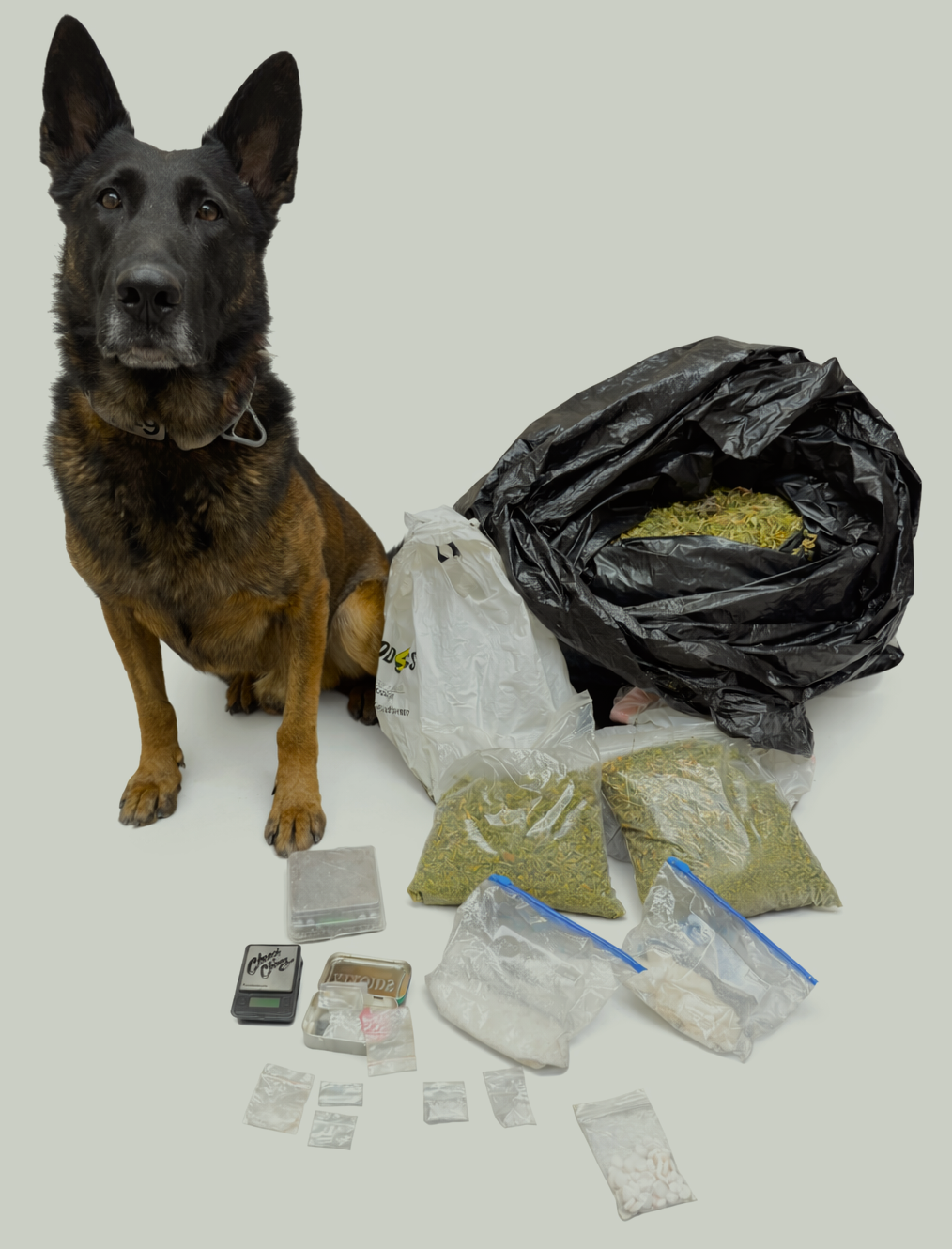 Traffic stop by Lyon County deputies leads to arrest for half pound of meth, 15 pounds marijuana – carsonnow.org