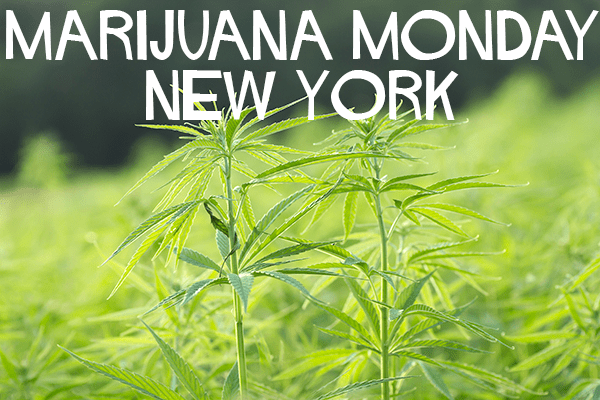 Breaking News; Dispensary Openings; Legal Wrangling; Cannabis Licensing – rcbizjournal.com