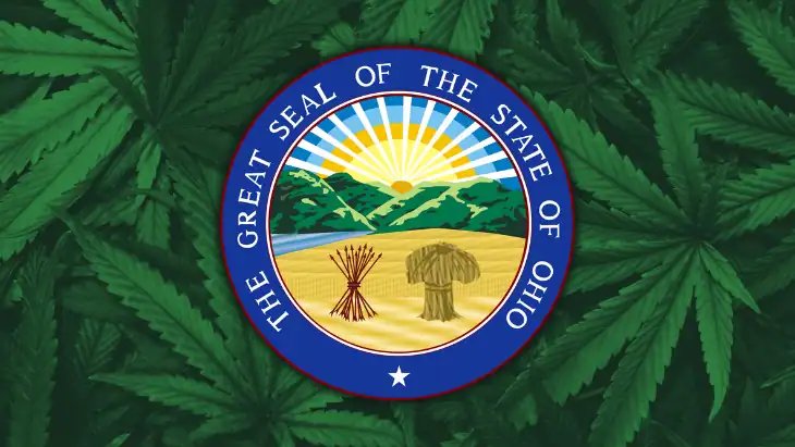 Ohio Legalized Cannabis Sales Came Quickly – The City Money Didn’t – mitechnews.com