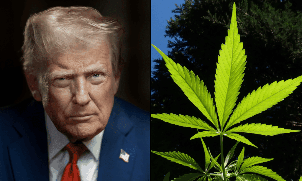 Marijuana Industry Political Committee Gave Another $1.05 Million To Trump's Super PAC Ahead Of Rescheduling Order, FEC Filings Show – Marijuana Moment