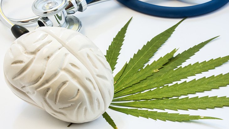 Study: Lifetime Cannabis Use Linked to Greater Cognitive Performance in Aging Populations – NORML