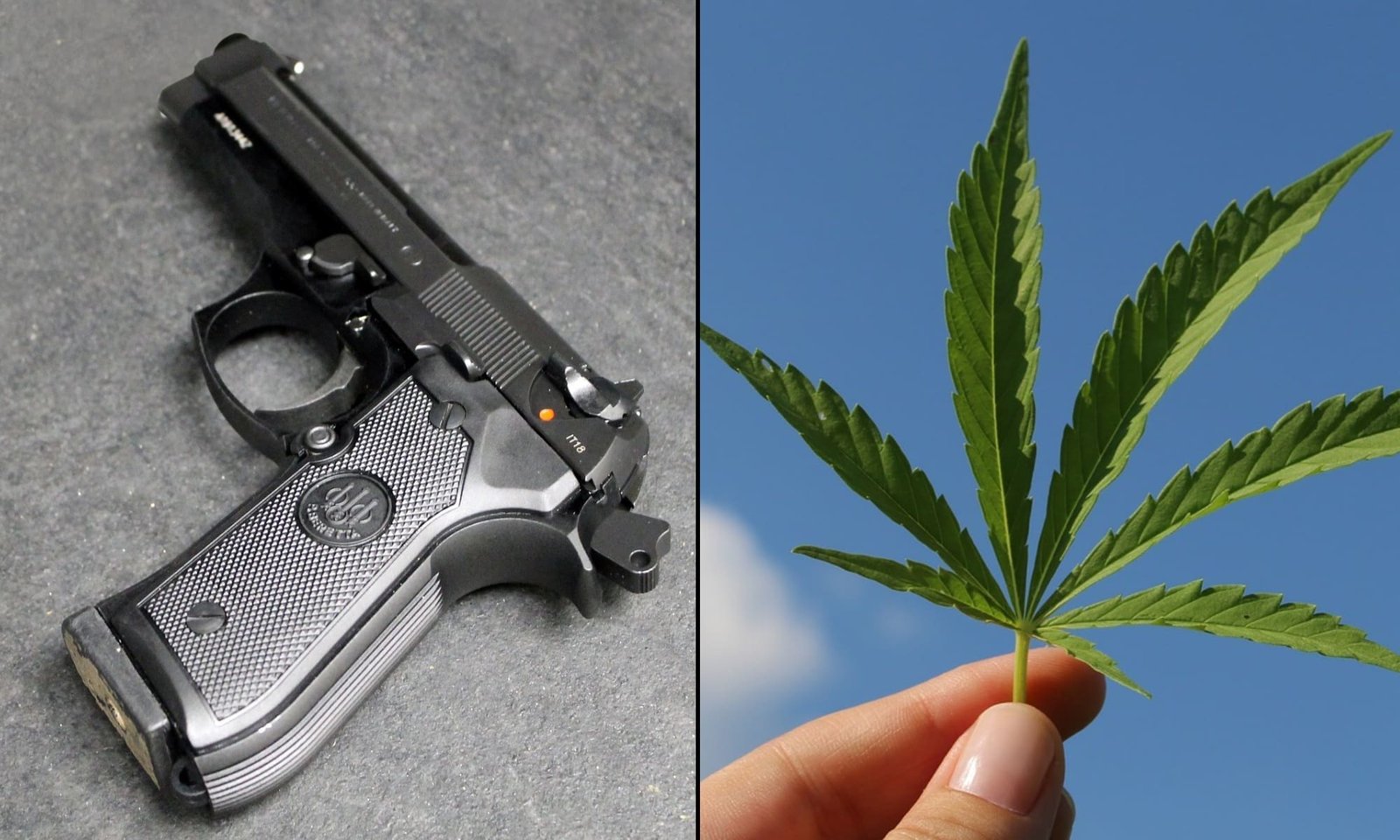 Trump's Marijuana Rescheduling Move Shows Gun Ban For Consumers Is Outdated, ACLU Lawyers Tell Supreme Court – Marijuana Moment