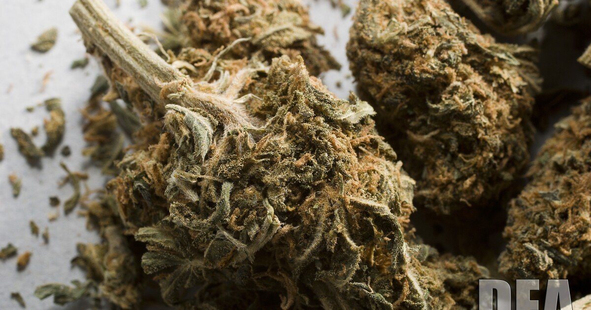 Multiple interests shape Virginia marijuana proposals – WVTF