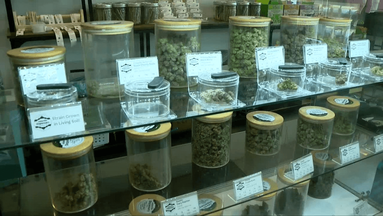 Governor Stein forms state council to regulate North Carolina's cannabis market – wlos.com
