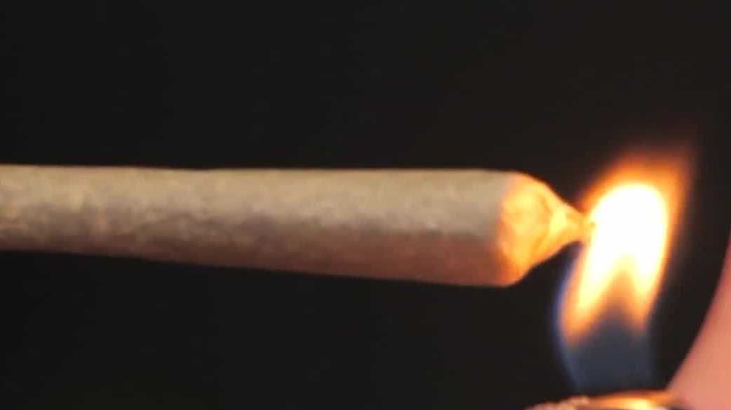 Florida residents share mixed views on potential recreational marijuana legalization – gulfcoastnewsnow.com