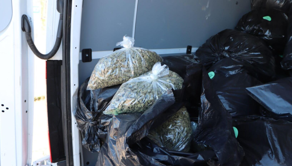 wp-header-logo-853.png