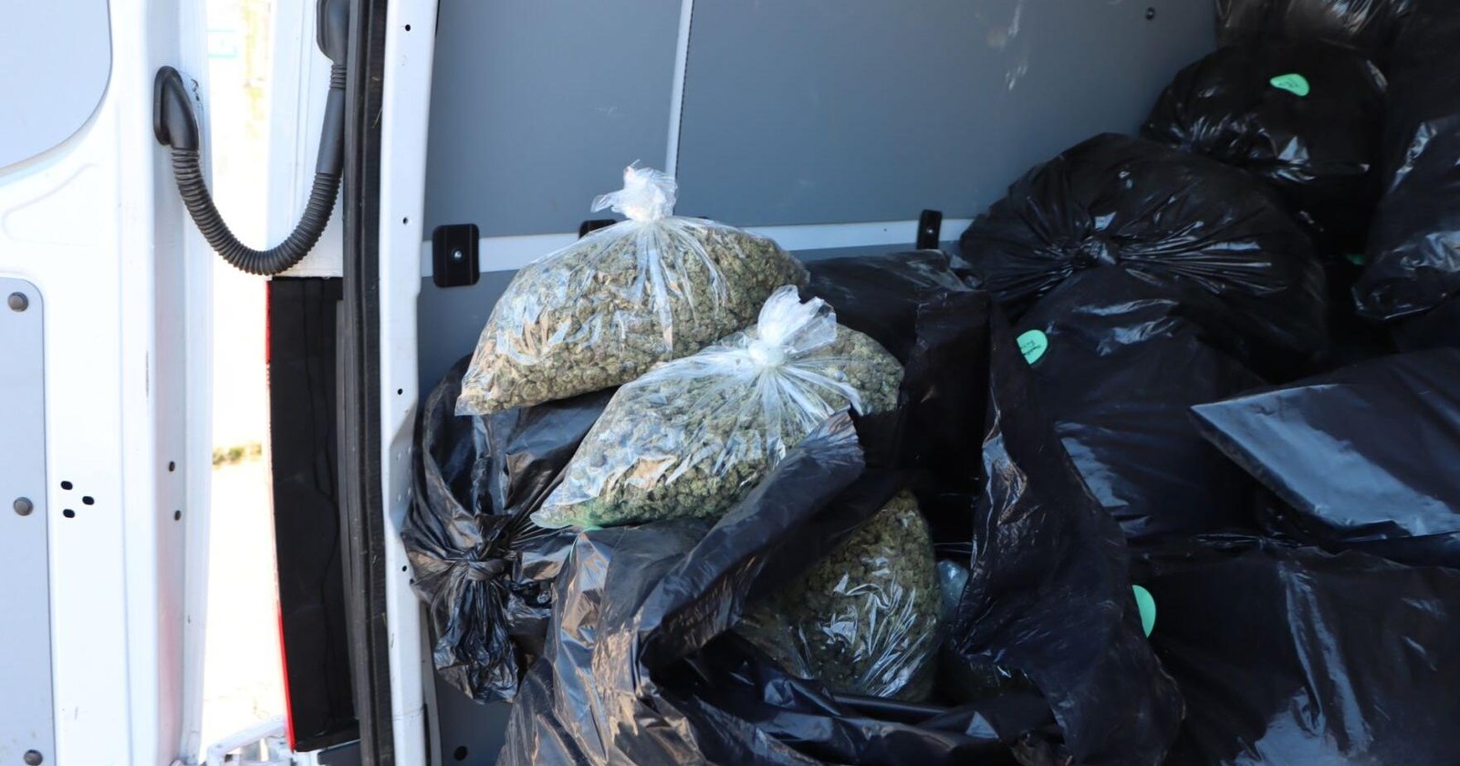 Siskiyou County's marijuana bust highlights public safety risks – kdrv.com