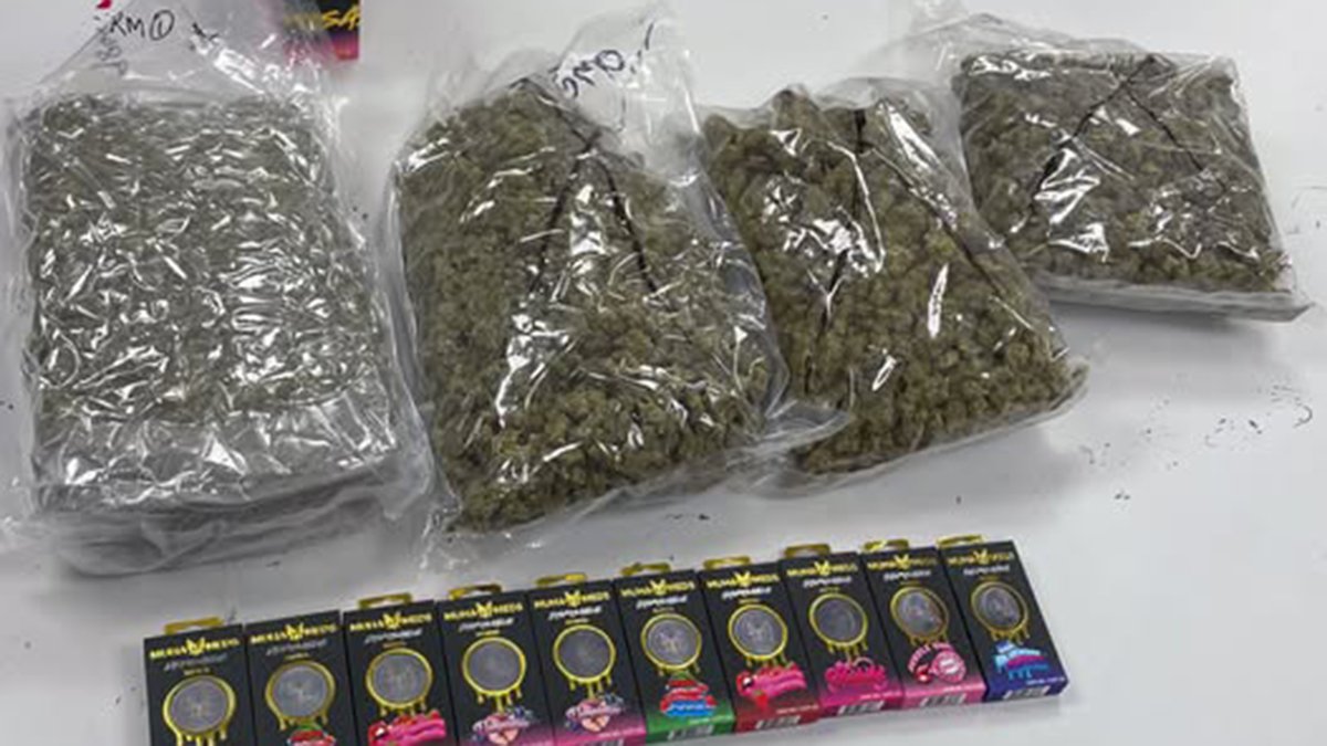 Woman arrested after 4 pounds of pot found during Florida Keys traffic stop: Sheriff – nbcmiami.com