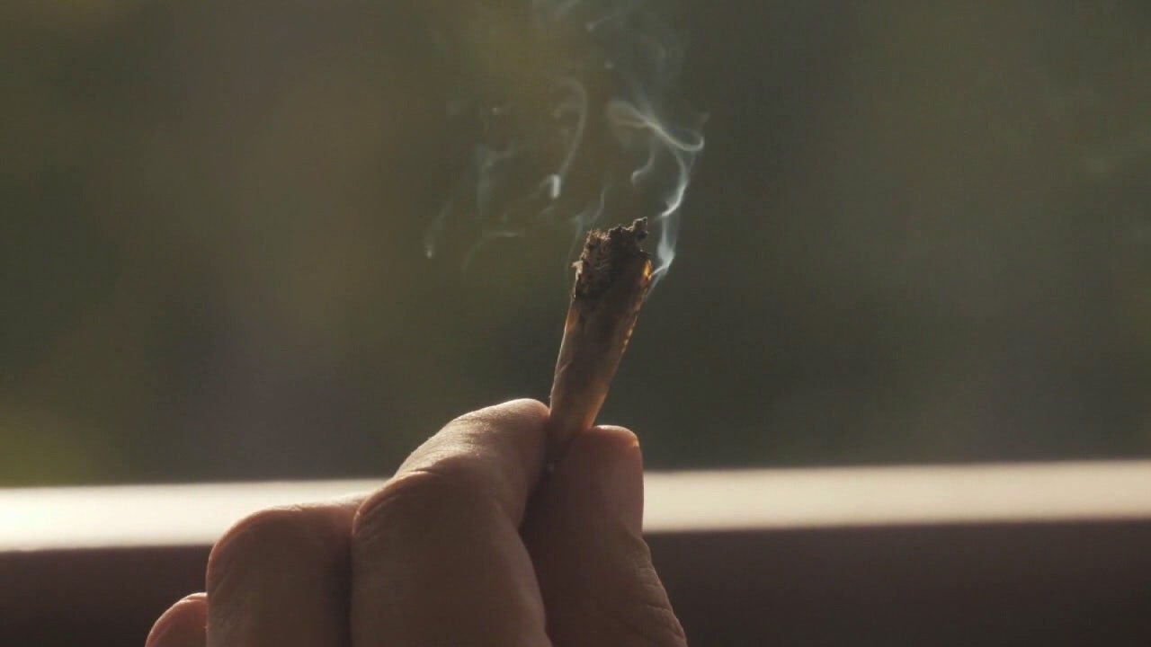 Recreational marijuana could return to Florida ballot in 2026 – FOX 13 Tampa Bay