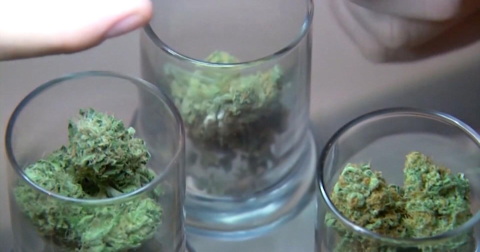 Delaware Senate Dems move to override Governor’s marijuana zoning bill veto – wboc.com