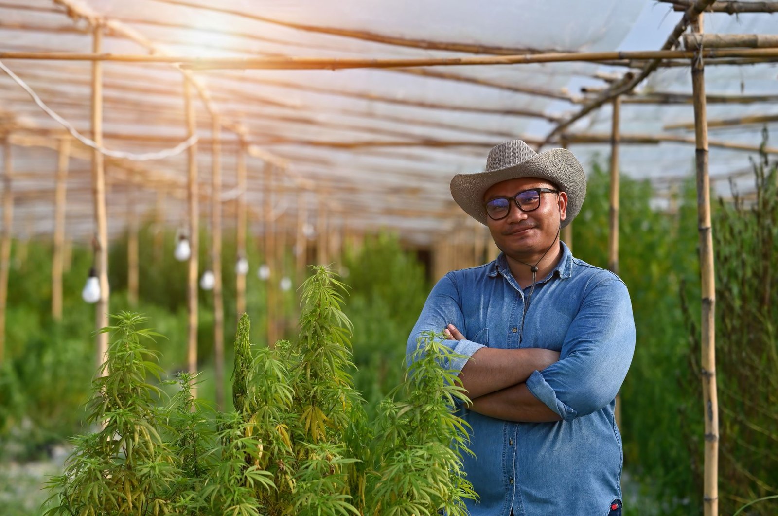 Why Green Thumb Industries Could Be Among the Biggest Winners From Marijuana Rescheduling – The Motley Fool