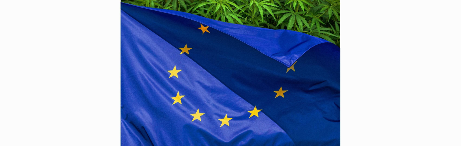 Where Is Cannabis Legal In Europe? – Forbes