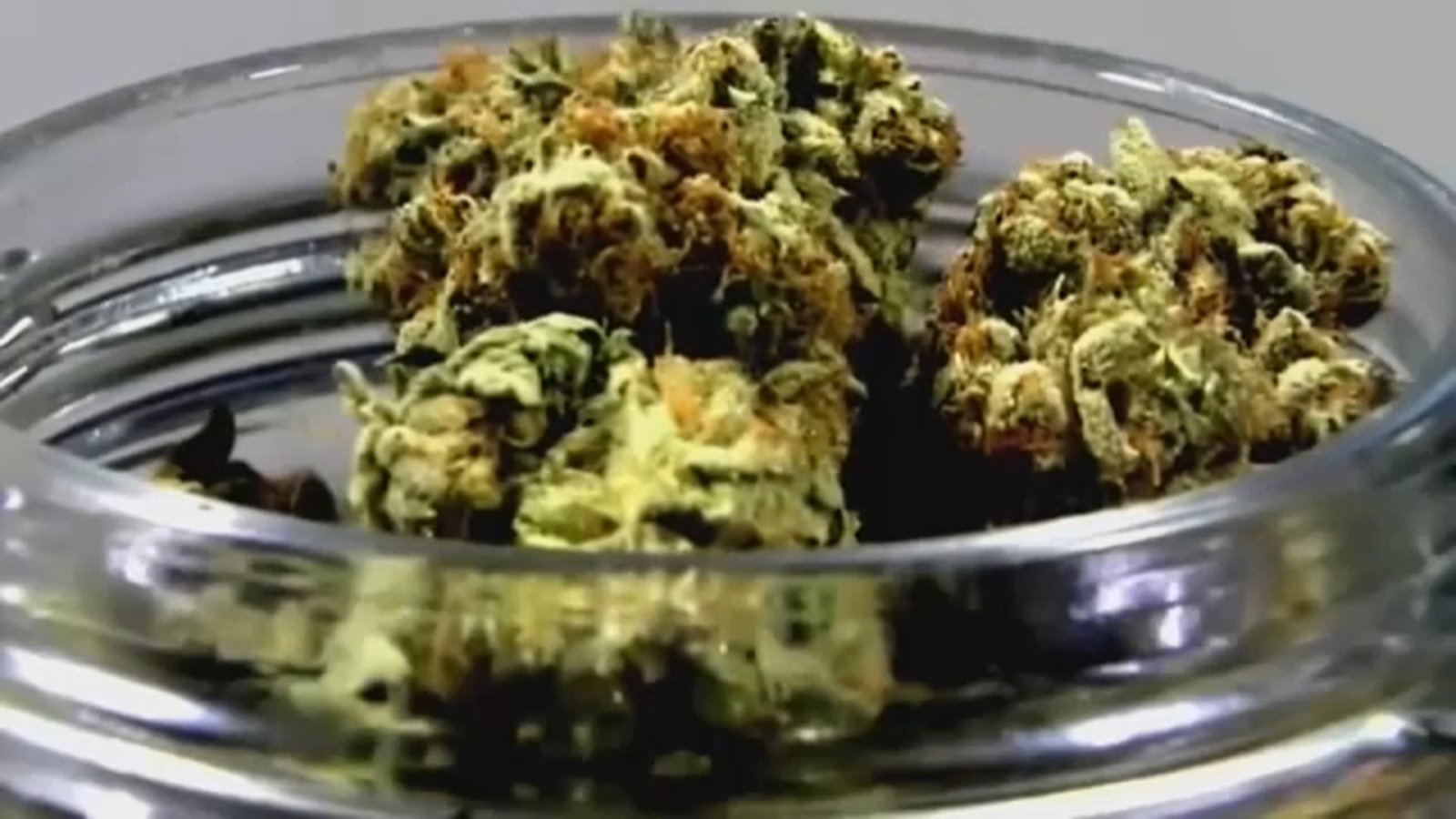 Medical marijuana being legalized in North Carolina has strong support statewide: Meredith poll – abc11.com
