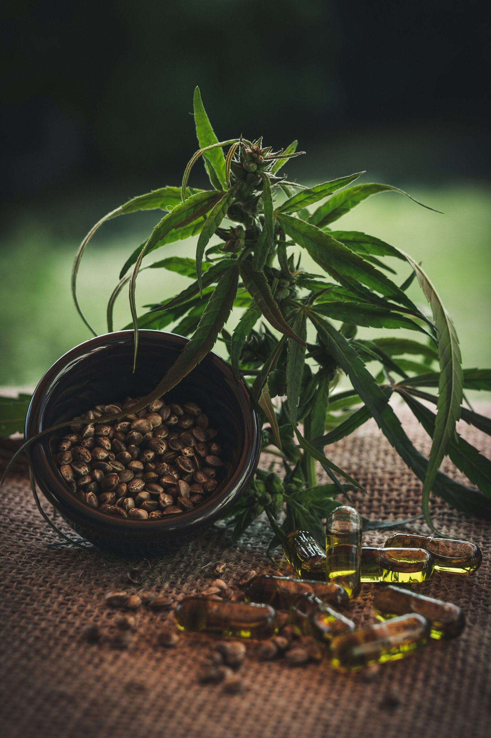 Understanding Hemp: The Differences Between Recreational and Authentic Use