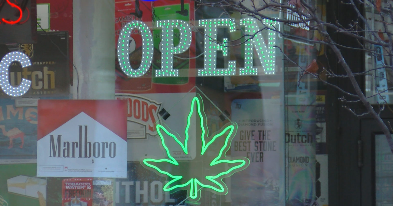 New bill could legalize medical and recreational marijuana – WKOW