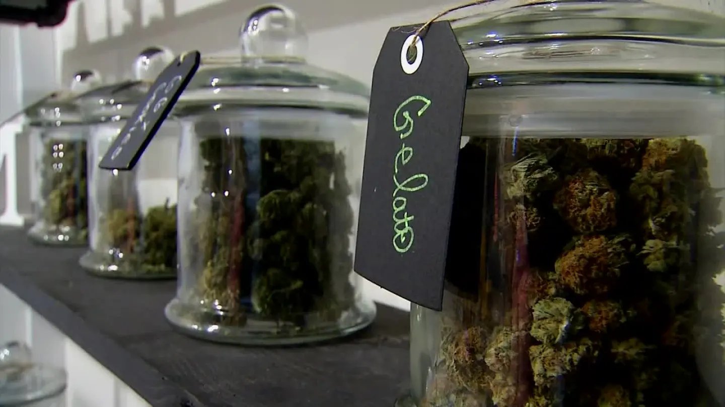 Oklahoma governor calls for voter action to shut down medical marijuana industry – News 9