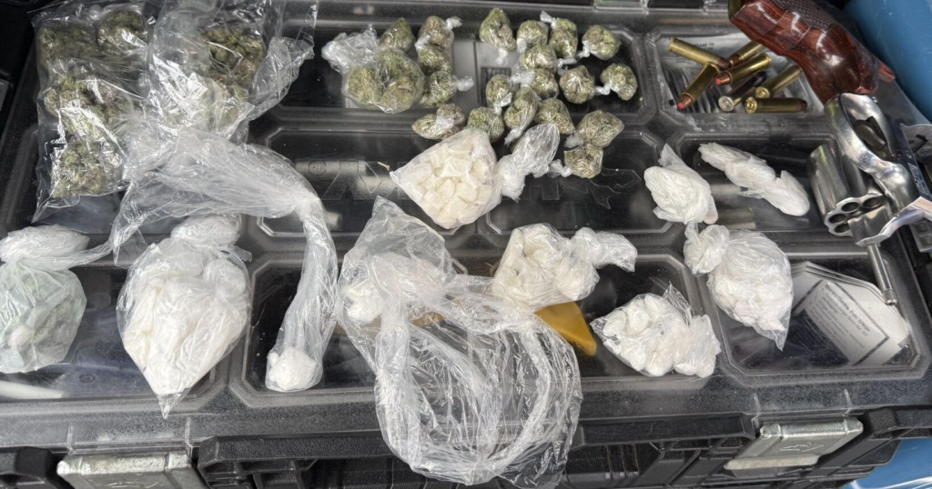 Holly Hill man faces cocaine, marijuana, other charges – The Times and Democrat