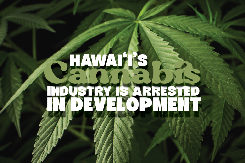 Hawai‘i’s Cannabis Industry Is Arrested In Development – Hawaii Business Magazine