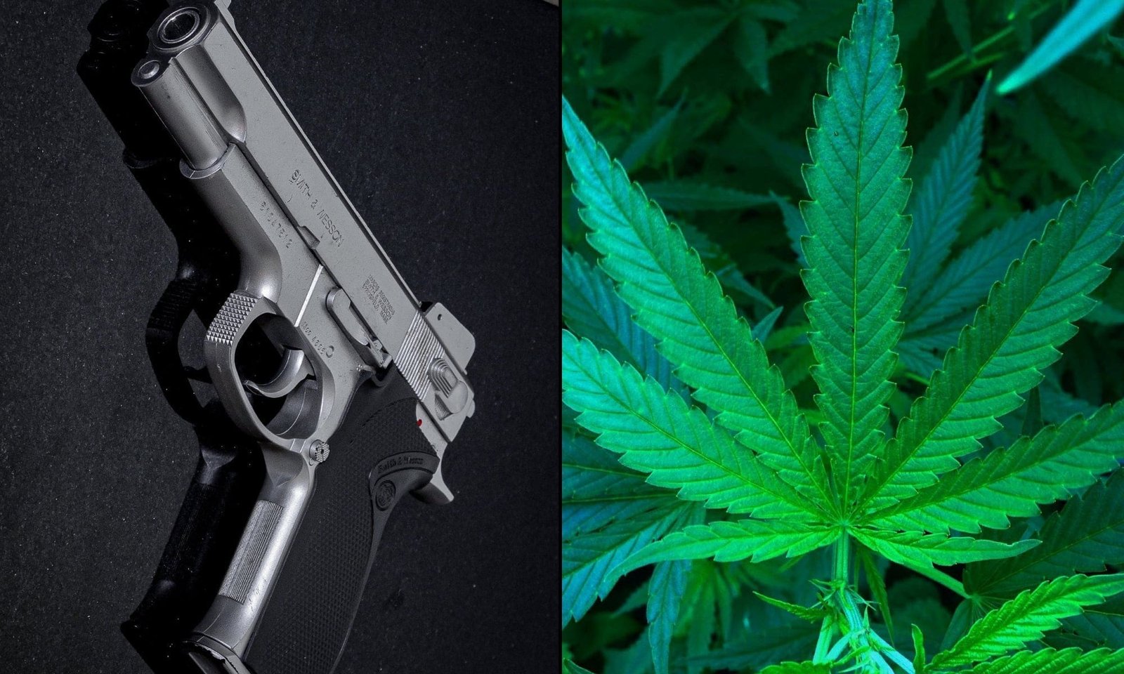 NRA Joins Marijuana Groups Urging Supreme Court To Overturn Ban On Gun Ownership By Cannabis Consumers As Unconstitutional – Marijuana Moment