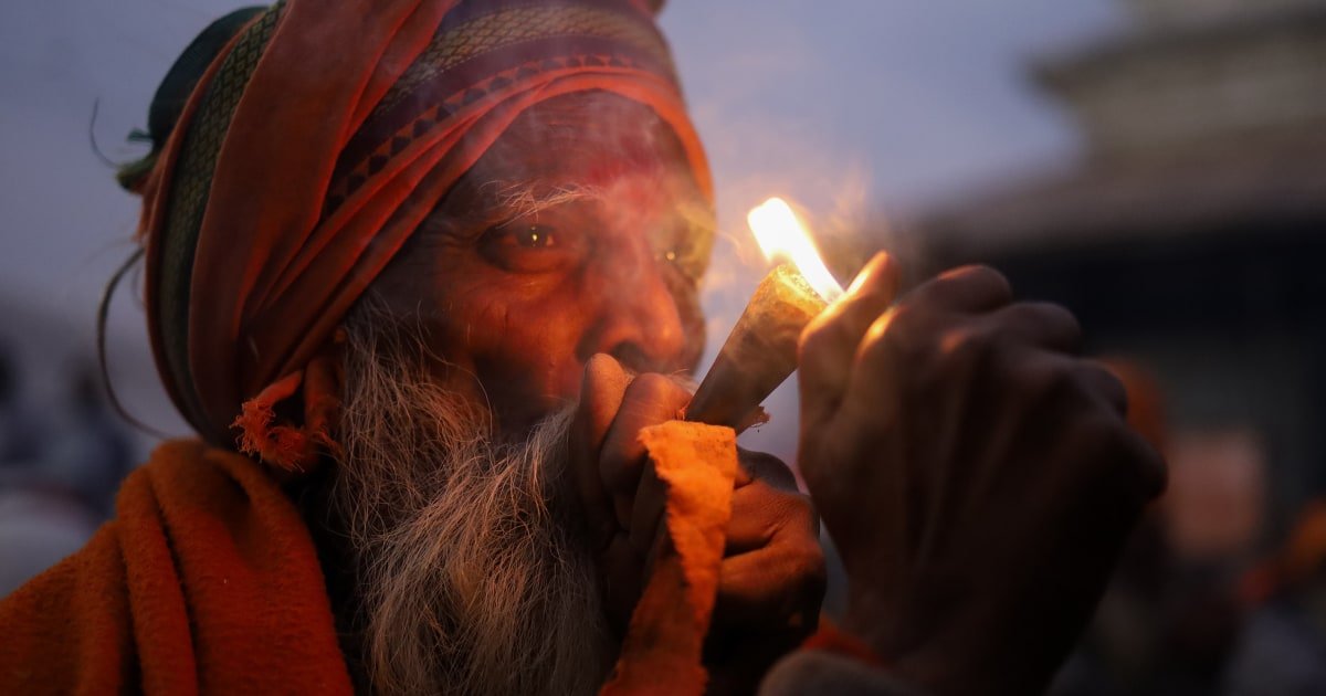 Cannabis smoke fills the air as Nepal marks Shivaratri festival – NBC News