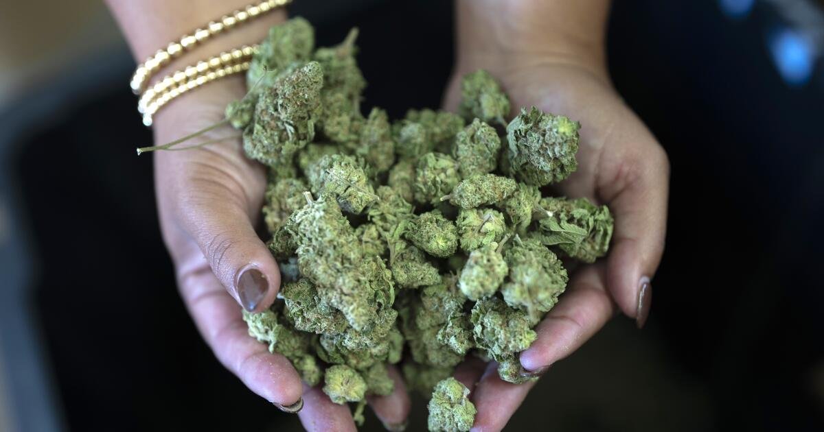 Loose cannabis is like spilled beer, not open container in car, state Supreme Court rules – Los Angeles Times