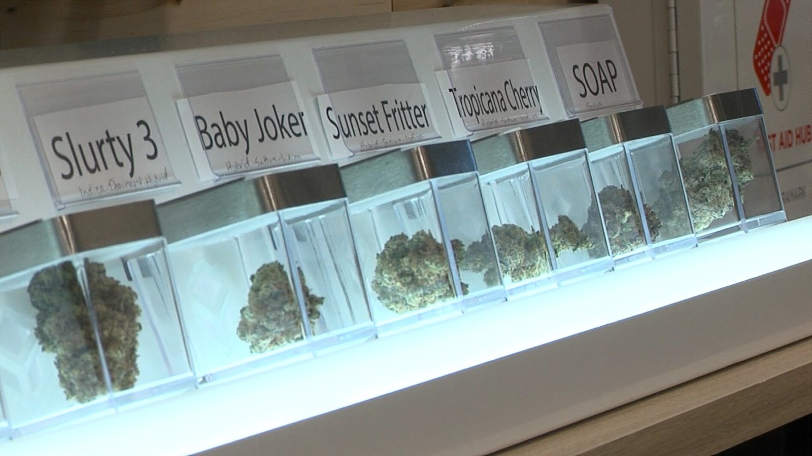 White Earth Nation plans cannabis dispensary in East Grand Forks – InForum