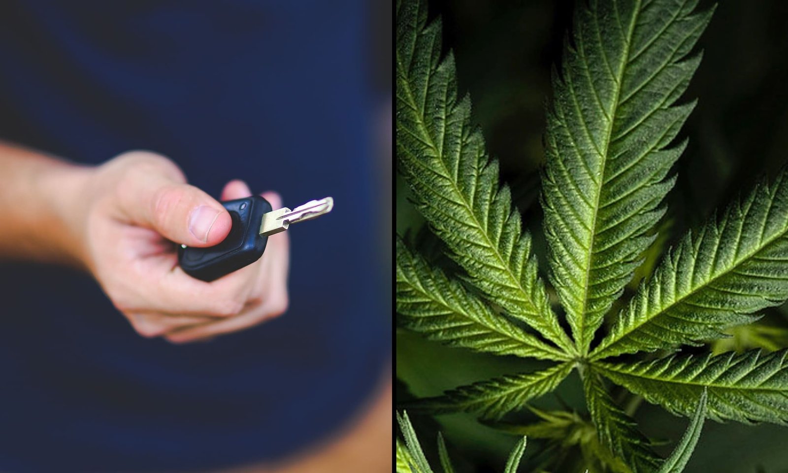 Florida Lawmakers Approve Bill To Punish Medical Marijuana Patients For Having Open Containers Of Cannabis In Cars – Marijuana Moment