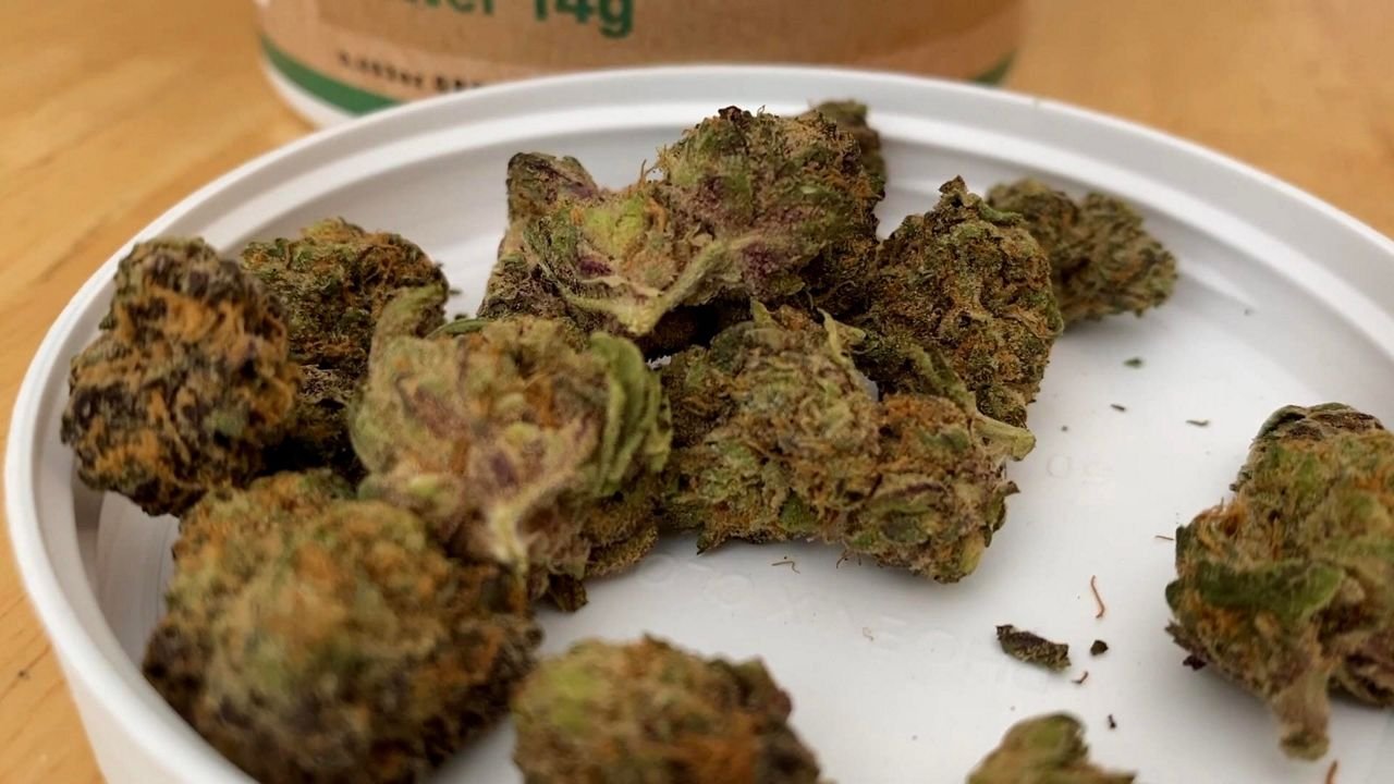 State office asks legislature to broaden access to medical cannabis – Spectrum News 1