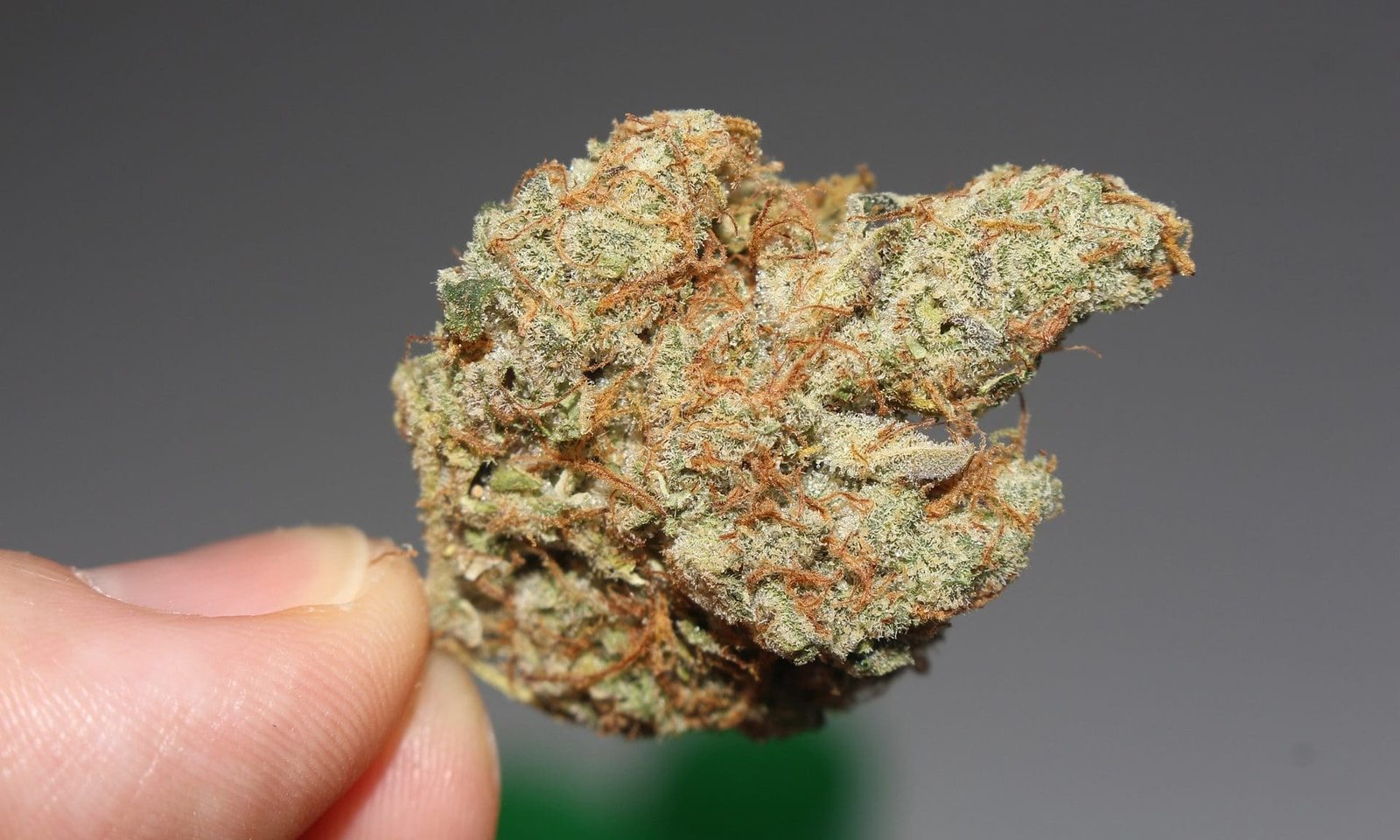 Another Florida Committee Approves Bill To Slash Medical Marijuana Fee For Military Veterans – Marijuana Moment