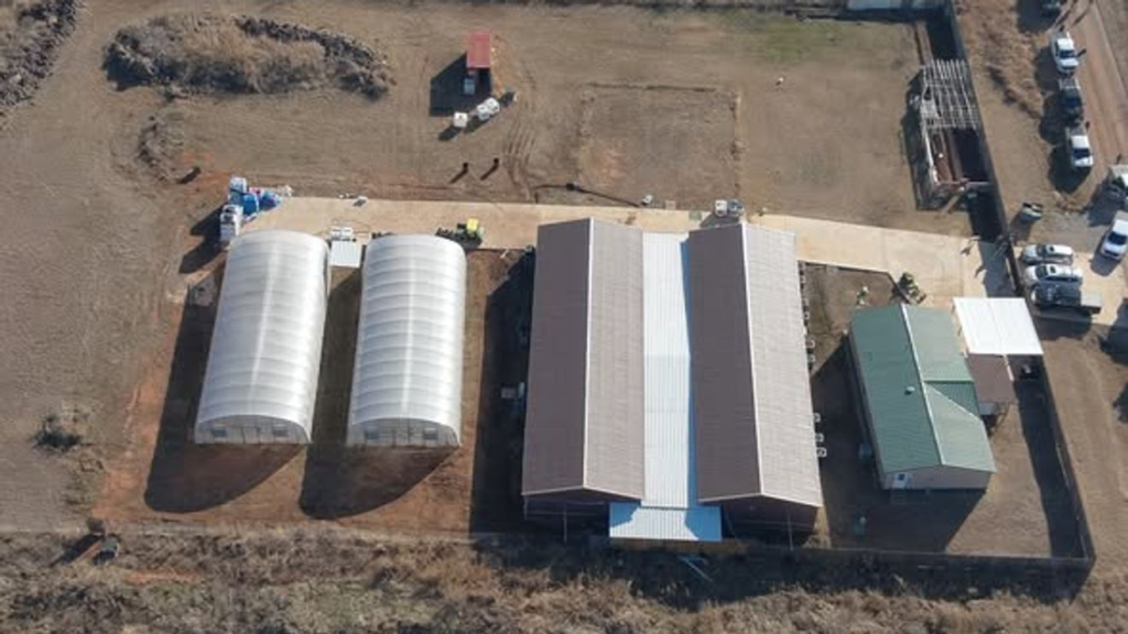 OBN MET seizes 5,304 marijuana plants at illegal Devol grow farm – KOKH