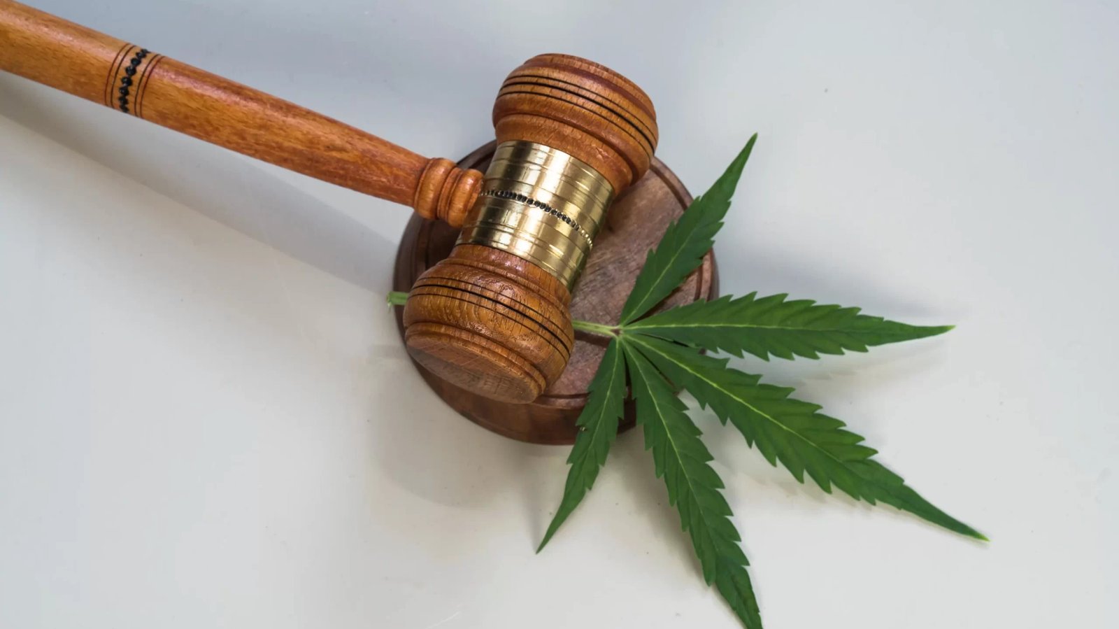 House passes bill to further criminalize marijuana use despite pushback – Alabama Political Reporter