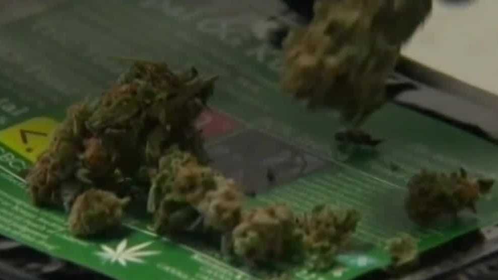 Medical marijuana users risk losing cards under new Florida law – WESH