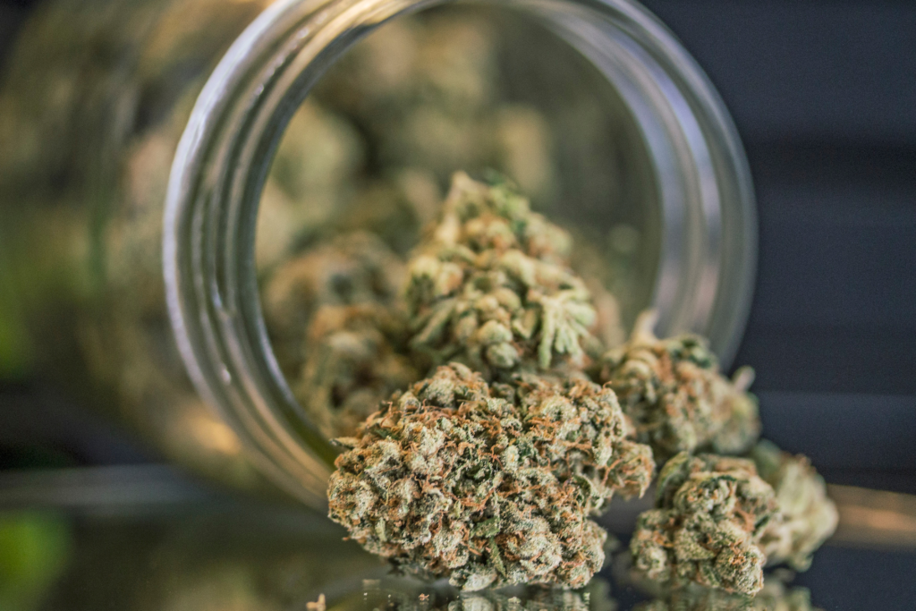 Signatures to back Florida recreational-marijuana constitutional amendment reaches 760,002 – NBC 6 South Florida