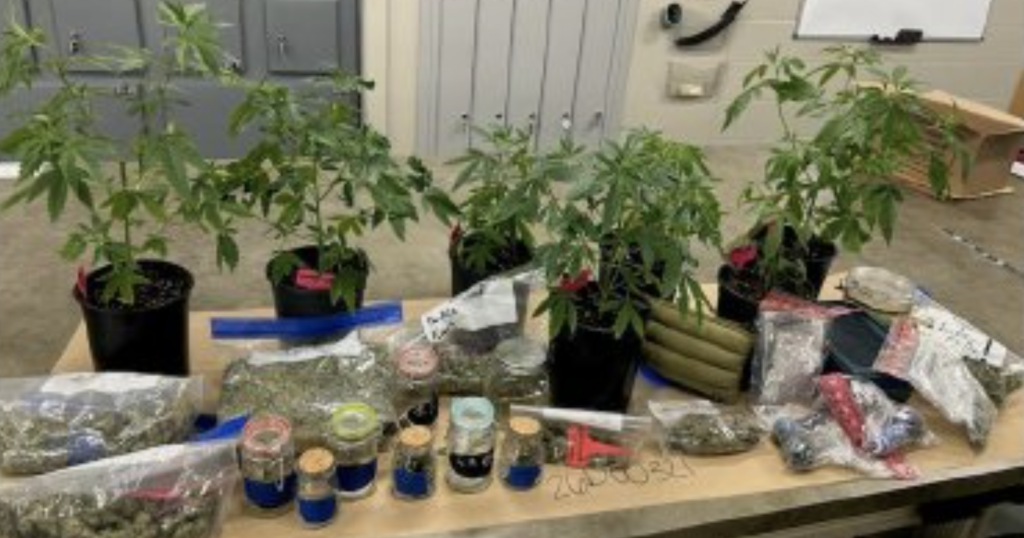 Grand Coulee Man Arrested in Alleged Illegal Pot Grow and Marijuana Distribution to Teens – Source ONE News