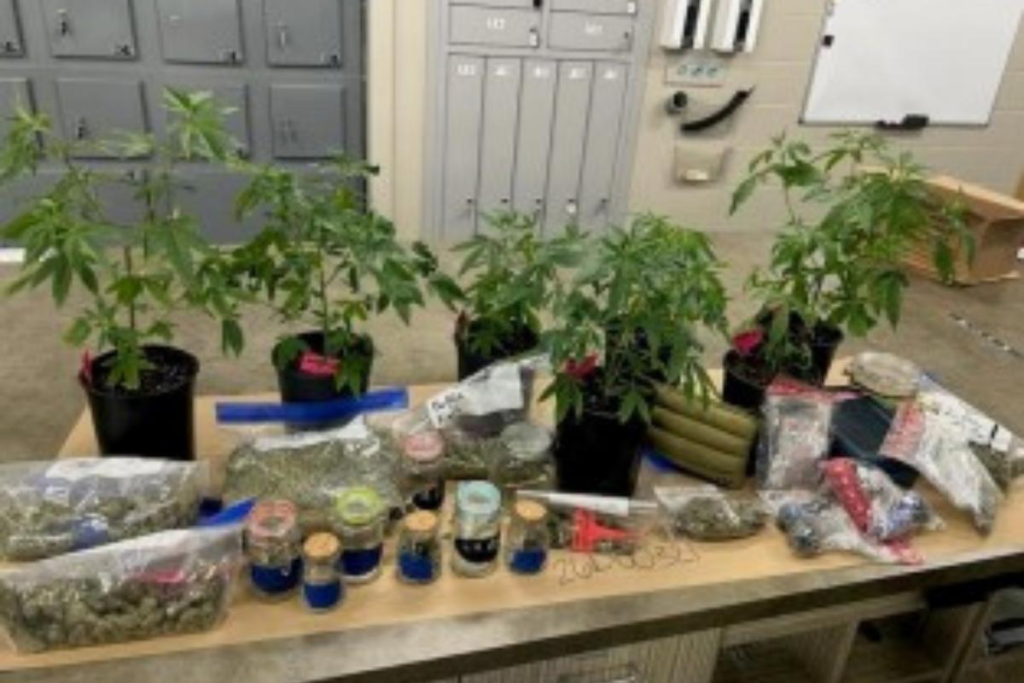 Felony Charges Filed in Teen Marijuana Case – NewsRadio 560 KPQ