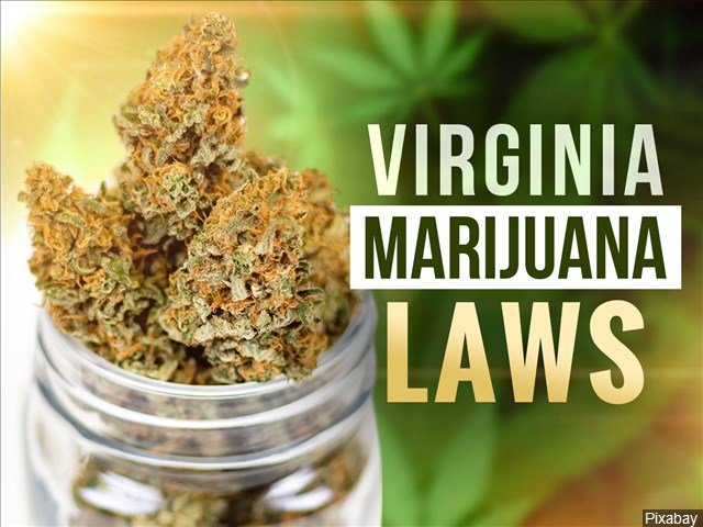 Roanoke College Cannabis Studies program ready to pivot if retail marijuana sales become a reality in Virginia – WFIR News